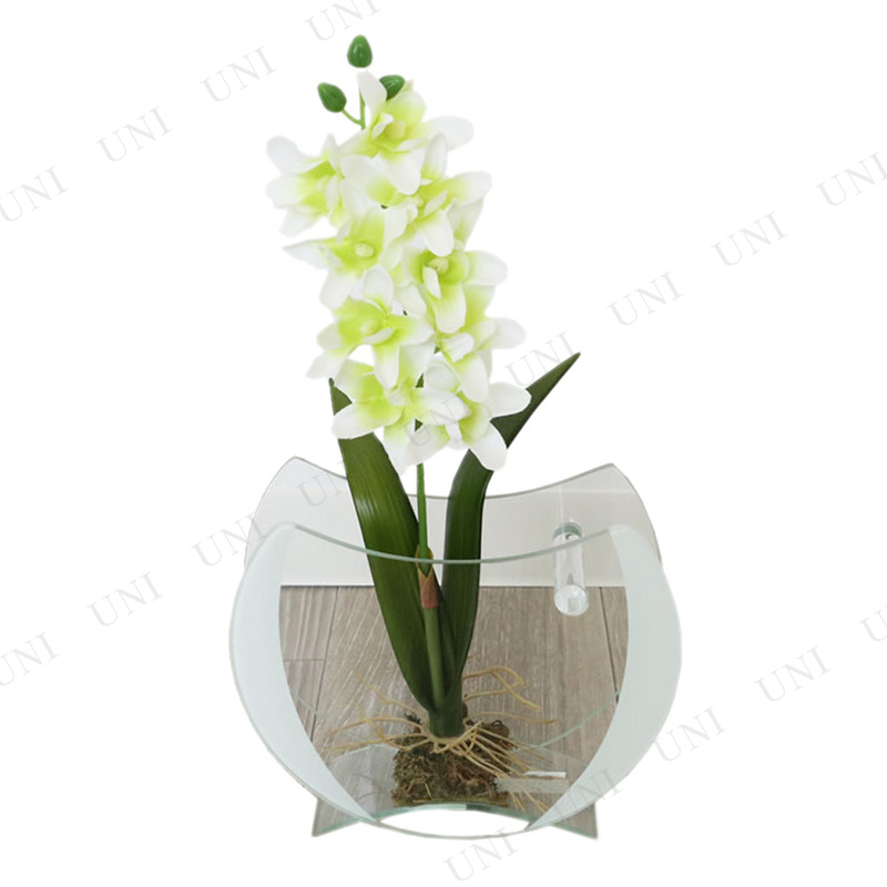 ڼʡ 饹 ۥ磻ȡ饤ȥ꡼(¤դ) 1308GAP007