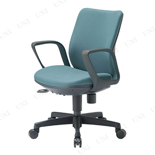 ڼʡ ե OA-3115FJ ꥢ֥롼