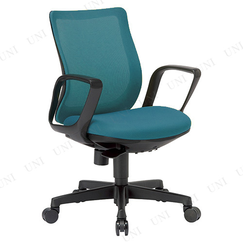 ڼʡ ե OA-3215B ꥢ֥롼