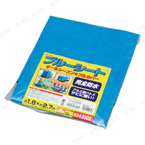 ڼʡ ꥹ ֥롼ȸ 260cm170cm