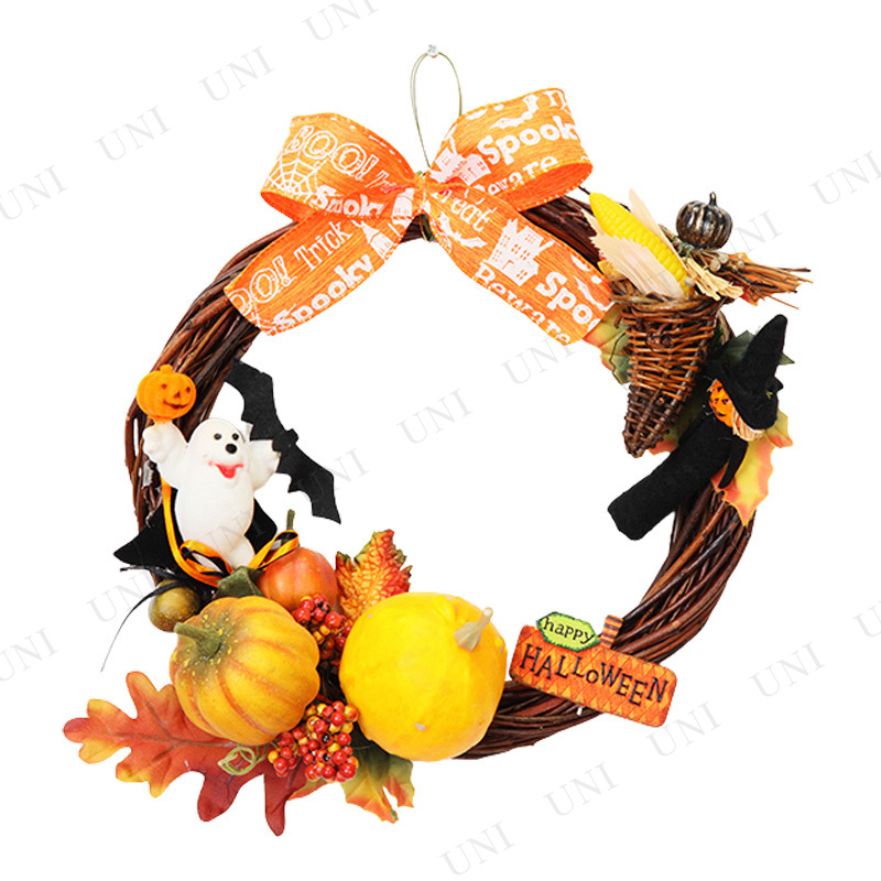 ڼʡ 25cm ϥʥ꡼