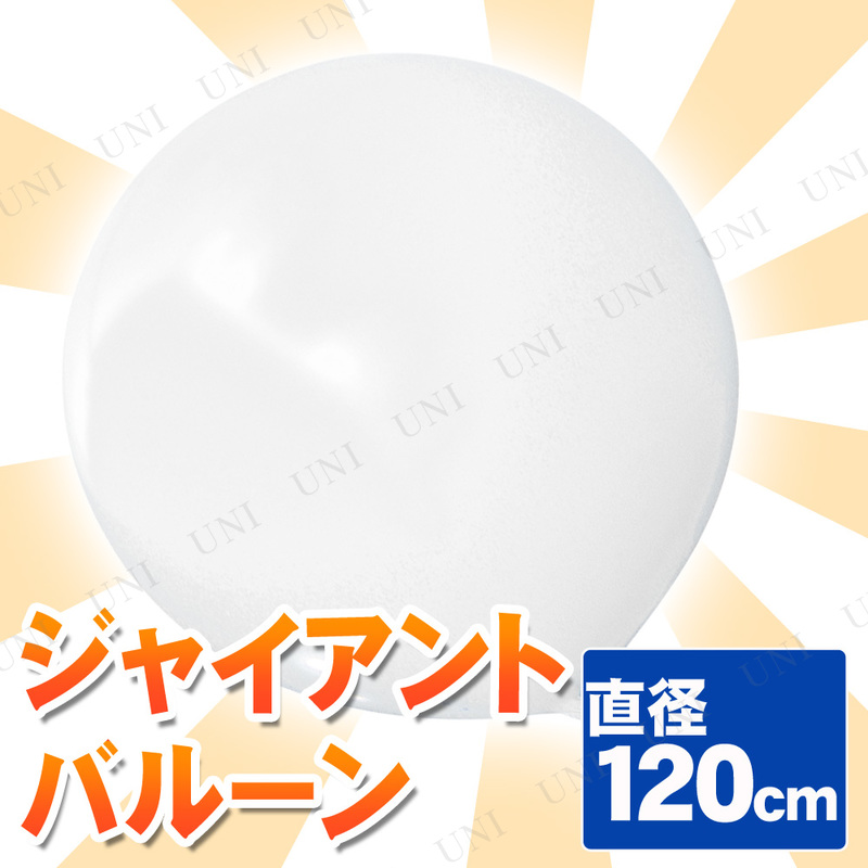 [2å] 㥤ȥХ롼 48 120cm ۥ磻