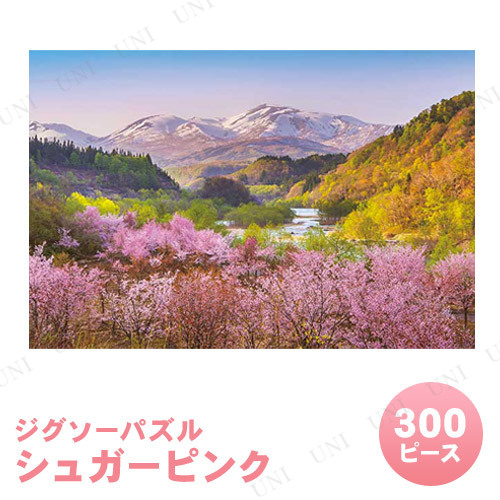 ڼʡ ѥ 300ԡ 奬ԥ