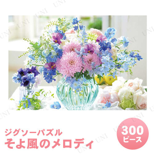 ڼʡ ѥ 300ԡ Υǥ