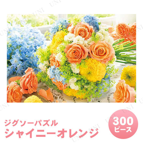 ڼʡ ѥ 300ԡ 㥤ˡ