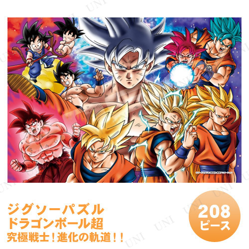 �ڼ���ʡ� ���������ѥ��� 208�ԡ��� �ɥ饴��ܡ���Ķ �����Ρ��ʲ��ε�ƻ����