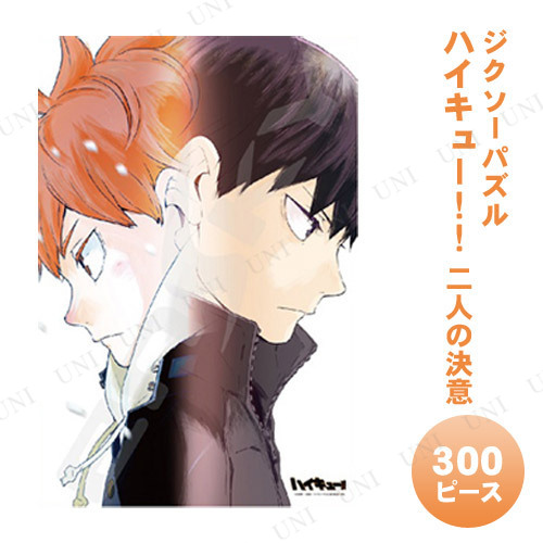 ڼʡ ѥ 300ԡ ϥ塼 ͤη