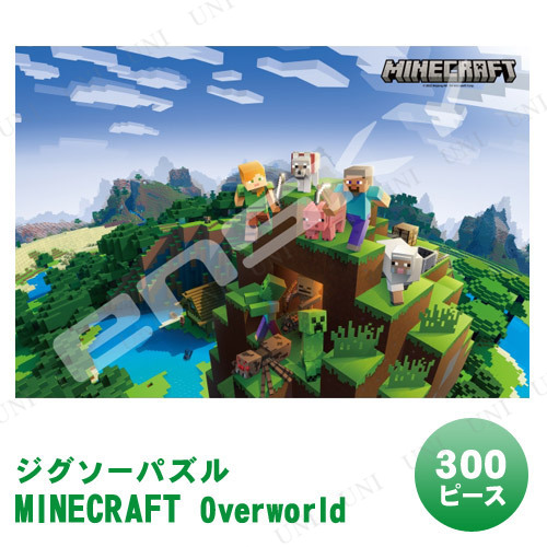 ڼʡ ѥ 300ԡ MINECRAFT Overworld