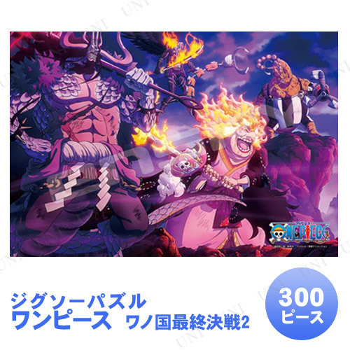ڼʡ ѥ 300ԡ ԡ ιǽ2