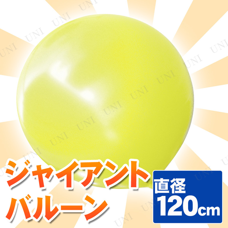 ڼʡ [2å] 㥤ȥХ롼 48 120cm 