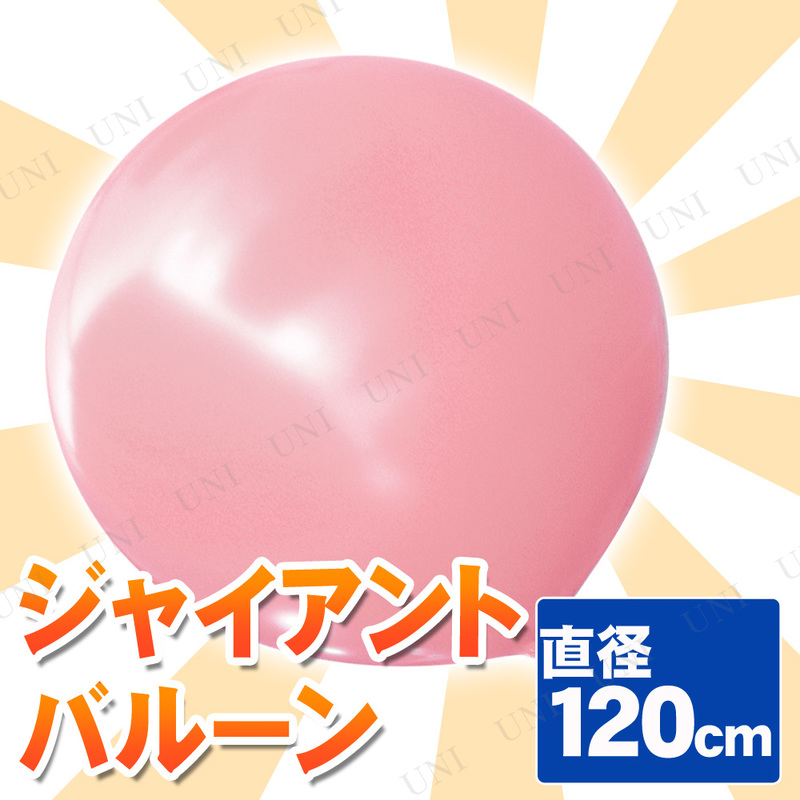 ڼʡ [2å] 㥤ȥХ롼 48 120cm ԥ