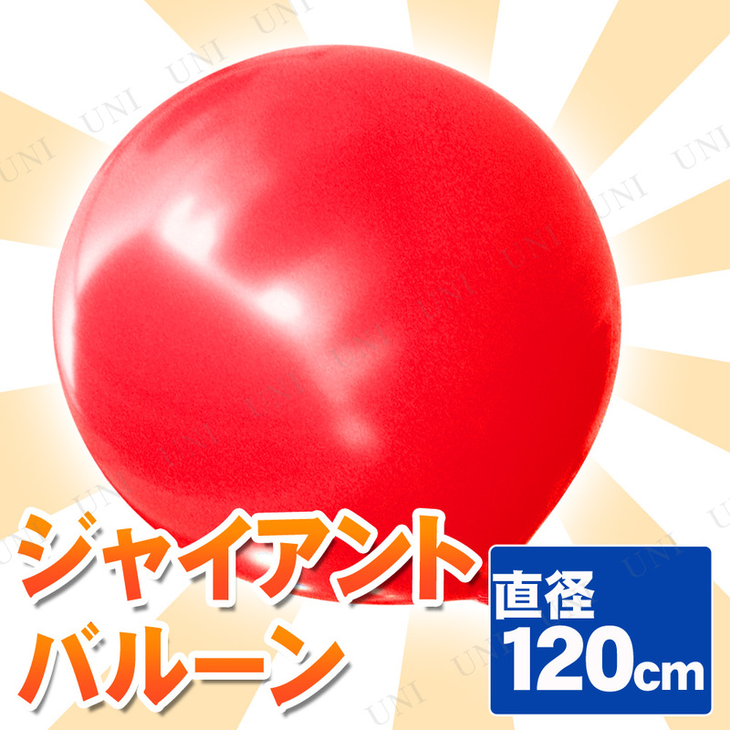 ڼʡ [2å] 㥤ȥХ롼 48 120cm å