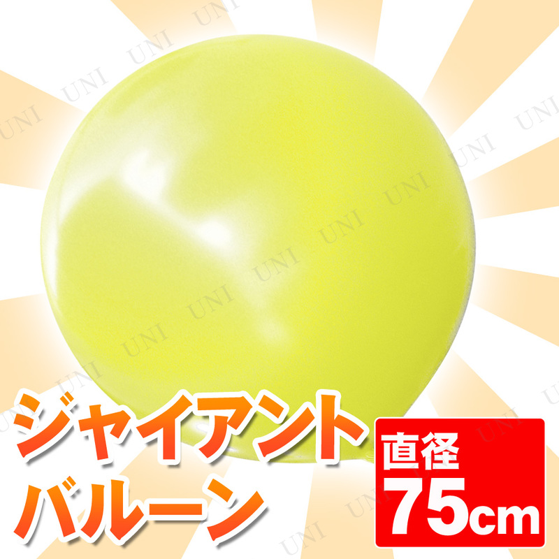 ڼʡ [2å] 㥤ȥХ롼 30 75cm 