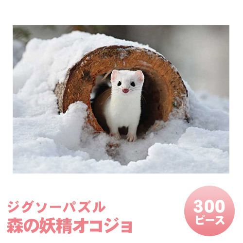 �ڼ���ʡ� ���������ѥ��� 300�ԡ��� ���������������� ���åץ��� ������������: ����26cm�߲���38cm �ѥ���ԡ�����300 �Τ��1 �����ӥ������ɡ�1