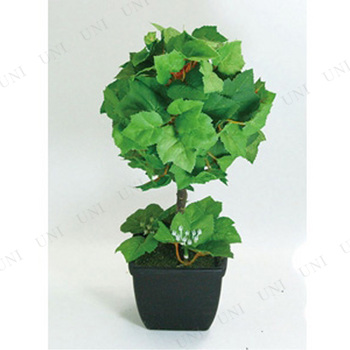 ڼʡ ꡼ȥԥ꡼ 졼 26cm