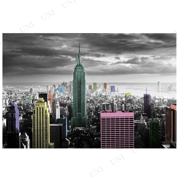 ˥塼衼 New York(Colour Splash)