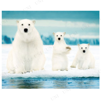 ڼʡ Polar Bear Family