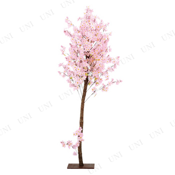 【取寄品】 180cm天然木桜スタンド