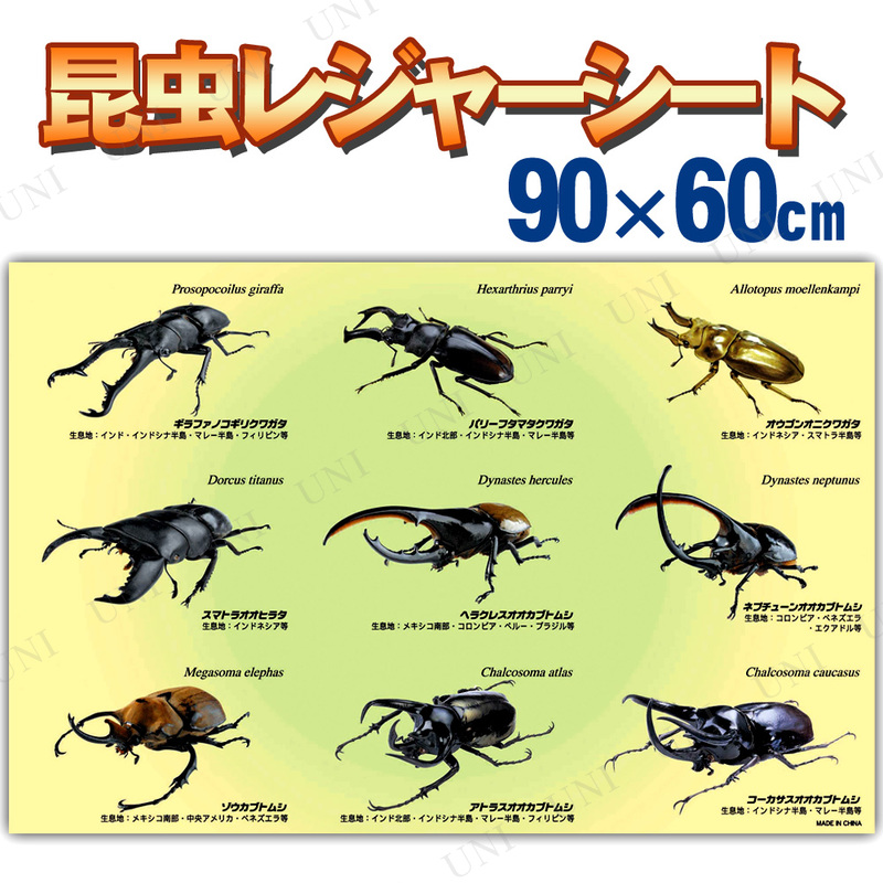 【取寄品】 昆虫レジャーシート 1人用 90×60cm