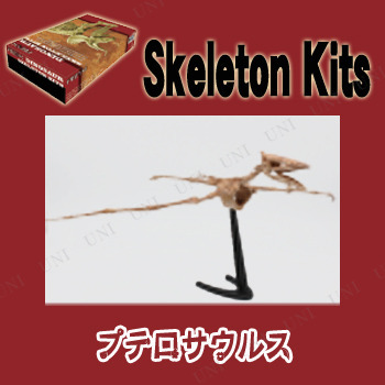 Skeleton Kits ץƥ륹
