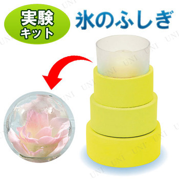 ڼʡ ɹΤդθå