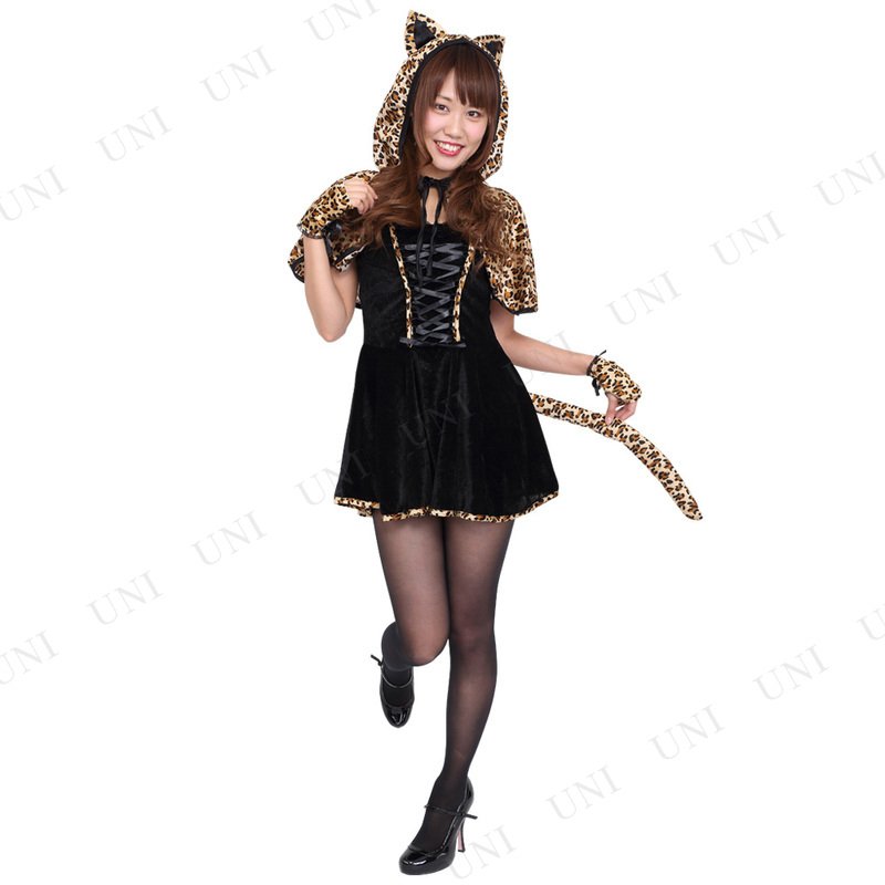 ץ  Patymo 쥪ѡɥաɥå