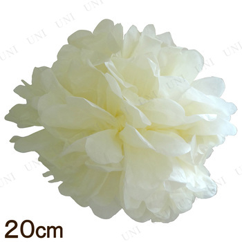 [2å] ѥԥե롼 20cm ѥ