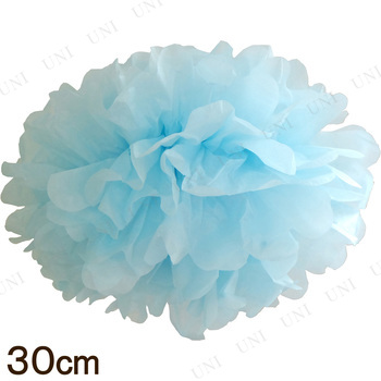 [2å] ѥԥե롼 30cm ѥ֥롼