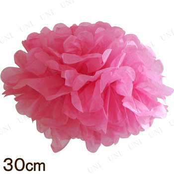 [2å] ѥԥե롼 30cm եܥ