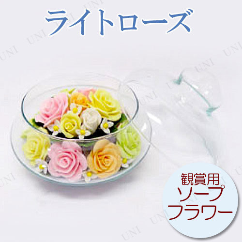 ڼʡ ץե Ѿѥ饤ȥL Q-M3-L