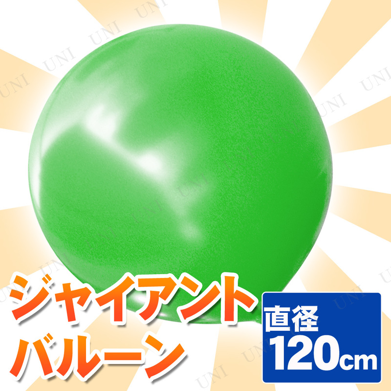 ڼʡ 㥤ȥХ롼 48 120cm ꡼