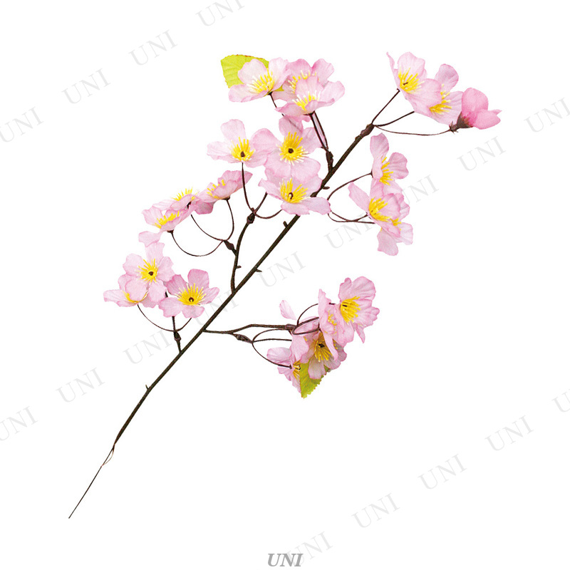 【取寄品】 [72点セット] ニュー桜スプレイ