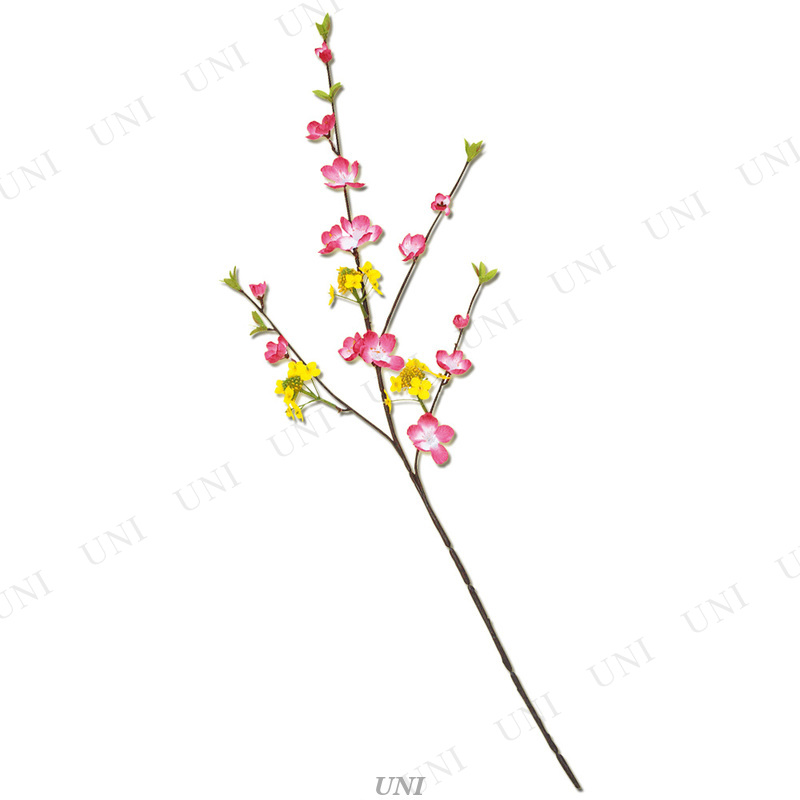 ڼʡ [24å] ߥåץ쥤 ڤβ/