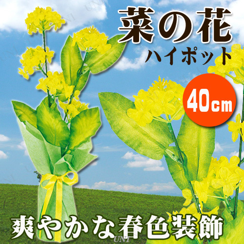 ڼʡ [12å] ϥݥåȺڤβ