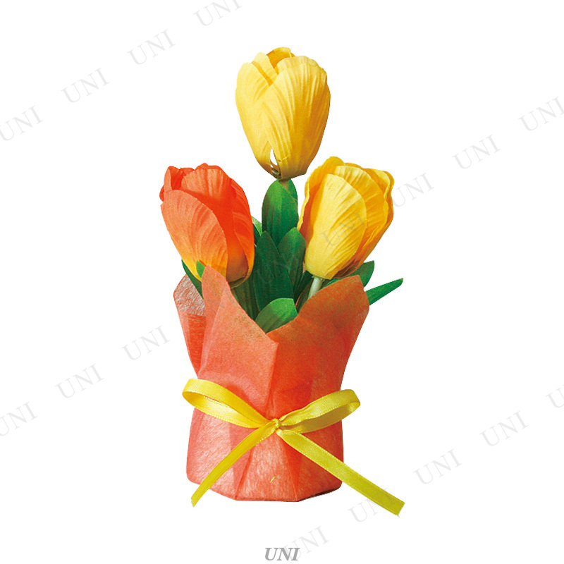 ڼʡ [12å] 塼åץץݥå 