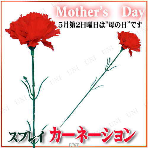 ڼʡ [120å] 30cmץ쥤͡