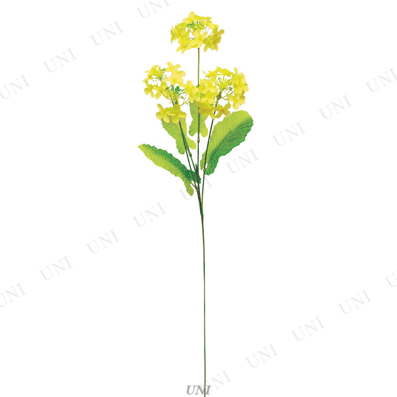 ڼʡ [36å] ڤβx4