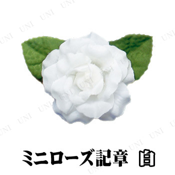 ڼʡ ץ  [100å] ߥ˥ 