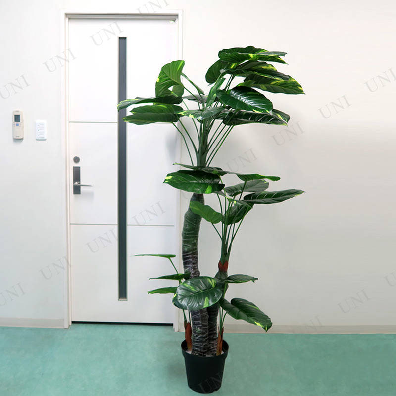 【本店】【パーティワールド】人工観葉植物 光触媒 ポトス 170cm フェイクグリーン インテリアグリーン 消臭 抗菌 グッズ