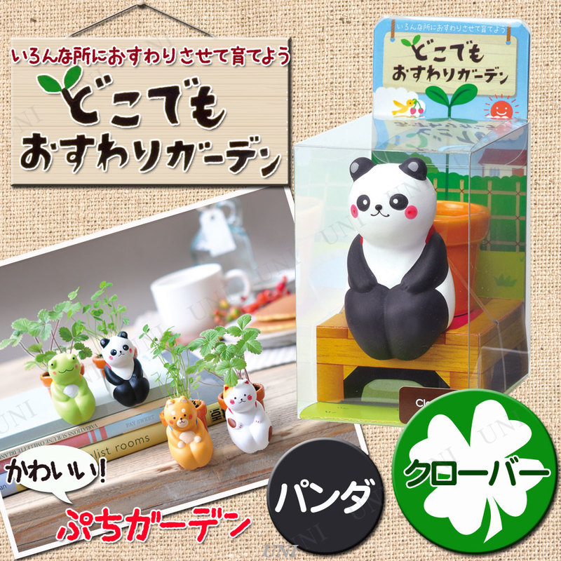 本店 パーティワールド 栽培キット どこでもおすわりガーデン パンダ クローバー インテリア雑貨 室内園芸 栽培セット 花 フラワー 家庭菜園 キッチン菜園 グッズ