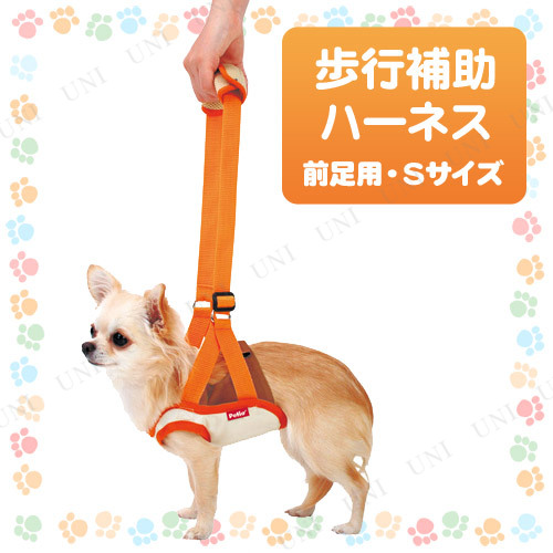 ڼʡ ڥƥ zuttoneϡͥ­S