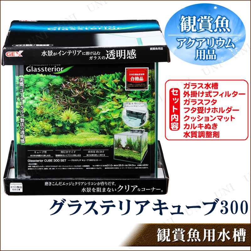 ڼʡ Ѿ޵饻å 饹ƥꥢ塼 300å