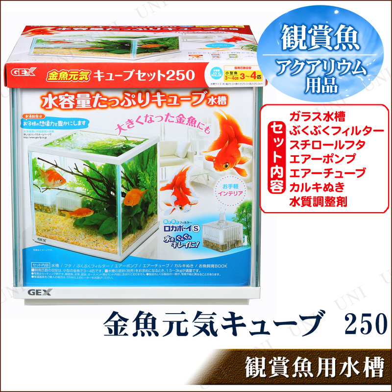 取寄品】 観賞魚飼育セット 金魚元気 キューブセット 250 - 本店-パーティーグッズ通販-販売-パーティワールド