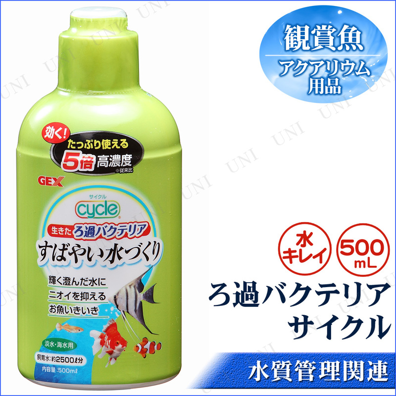 ڼʡ Хƥꥢ  500mL