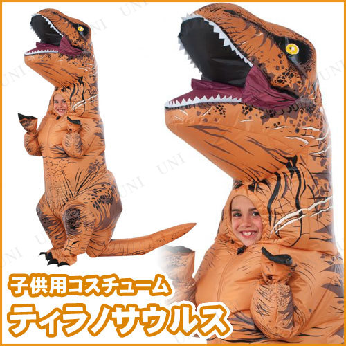 ץ  ե졼֥ ƥΥ륹 Ҷ