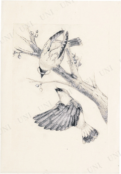 ڼʡ ޥåPP 24018005mm