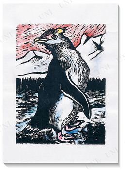 ڼʡ ǲ̿»40kgʴñ¿ǲѡȽ