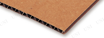 �ڼ���ʡ� �ʥܡ��륷����